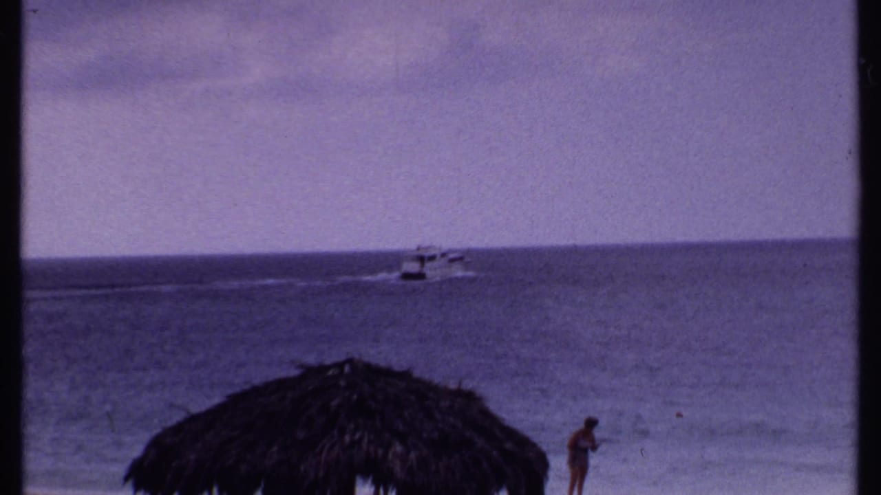 Ocean view with distant boat, thatched umbrella edge, and a person near the water.