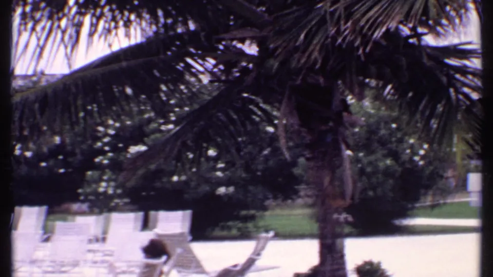 Bahamas 1969 home-movie frame showing palm trees, white lounge chairs, and landscaped resort grounds near the pool area.