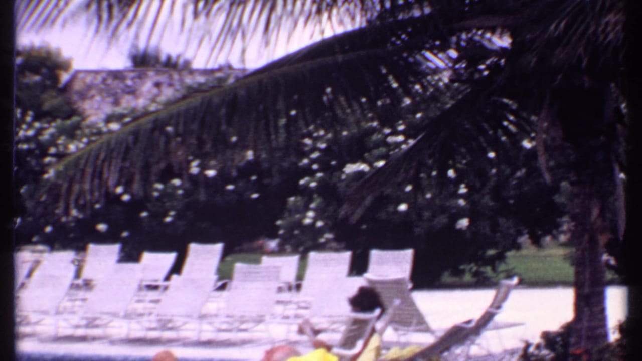 Rows of white lounge chairs beside a pool under palm fronds and dense flowering shrubs.