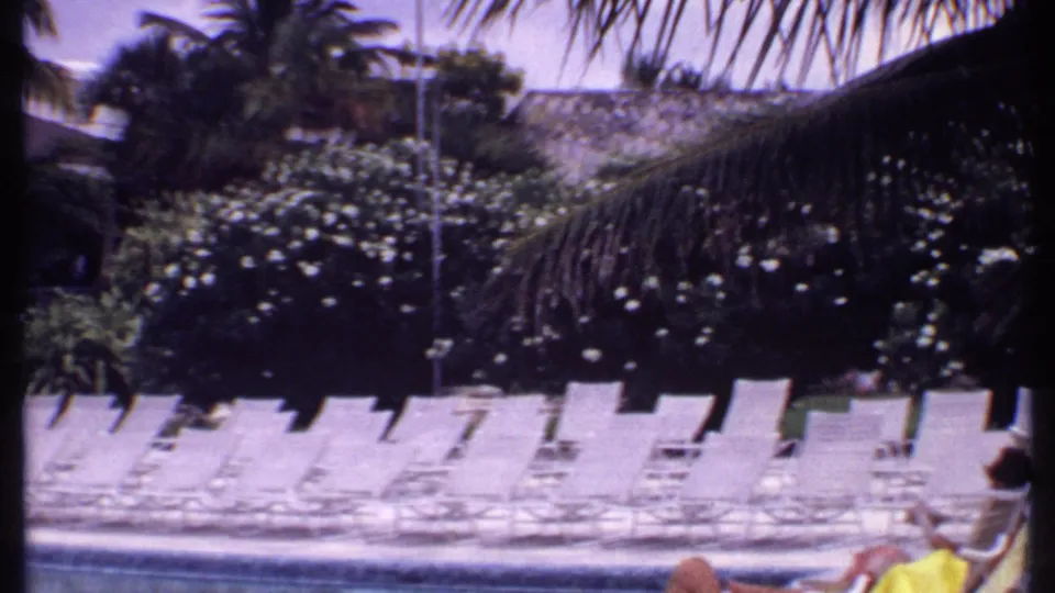 Bahamas resort pool area in 1969, showing empty lounge chairs, palm trunks, dense shrubs, and a low structure beyond the deck.
