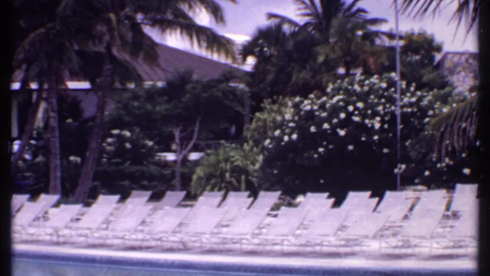 1969 Bahamas poolside scene with a row of empty white loungers, palm trees, flowering greenery, pool edge, and resort buildings in back.
