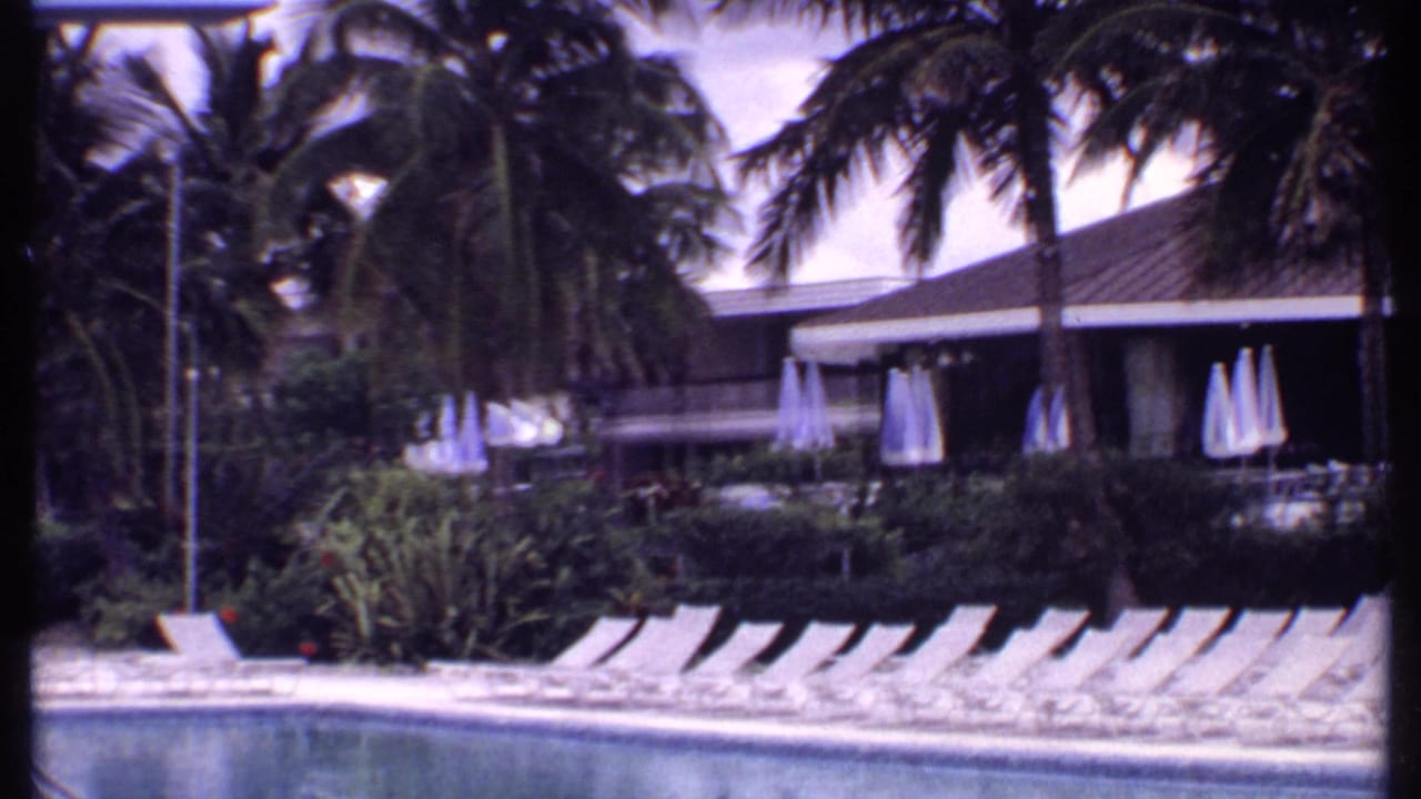Palm-lined pool area with empty loungers, closed umbrellas, shrubs, and a resort building.