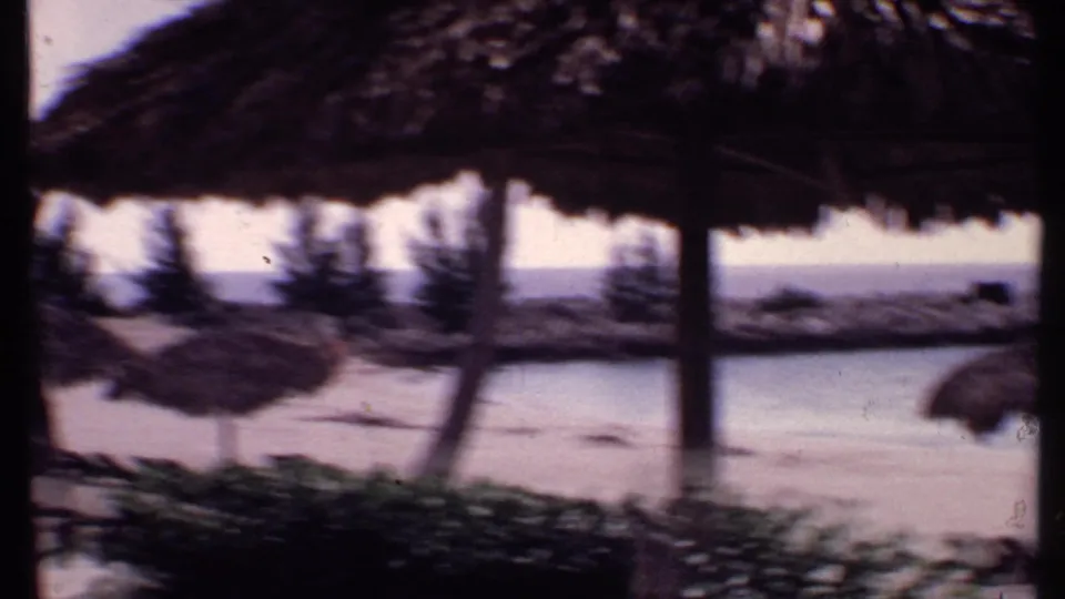 Bahamas shoreline view with a large thatched umbrella, low vegetation, pale sand, and calm water beyond.