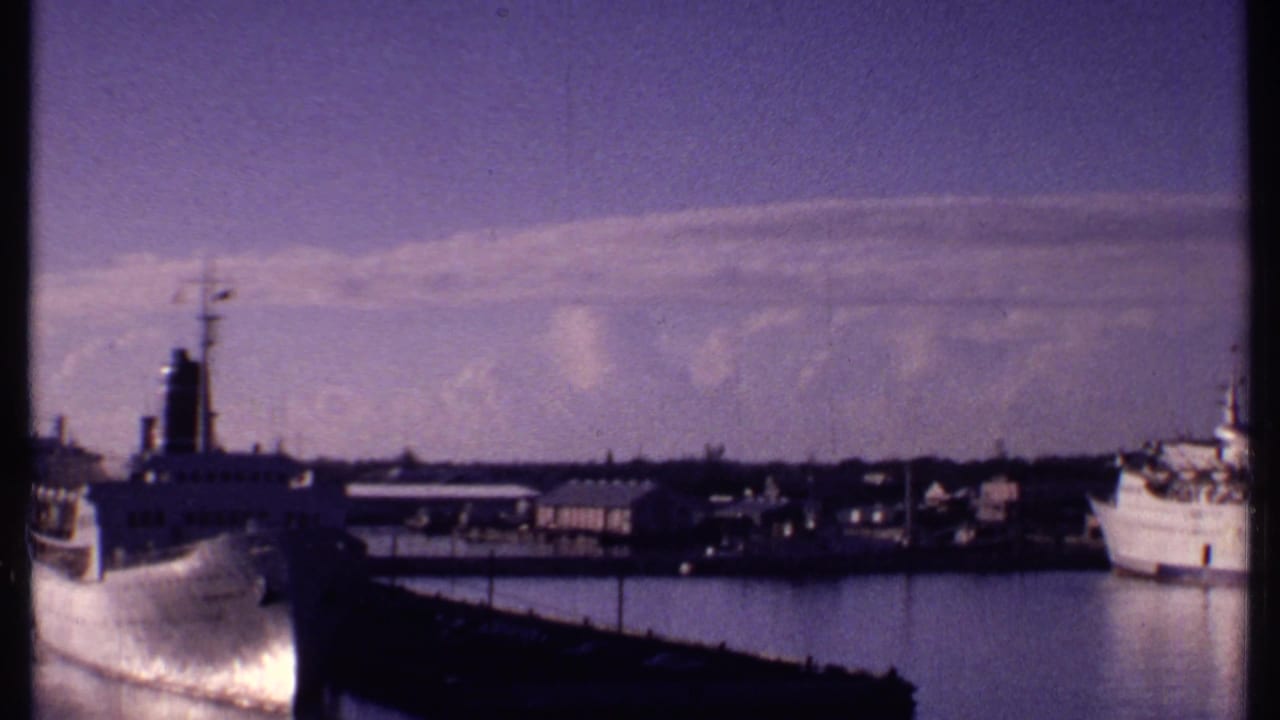Harbor view with a white ship at left, dock structures, water, and cloudy sky.