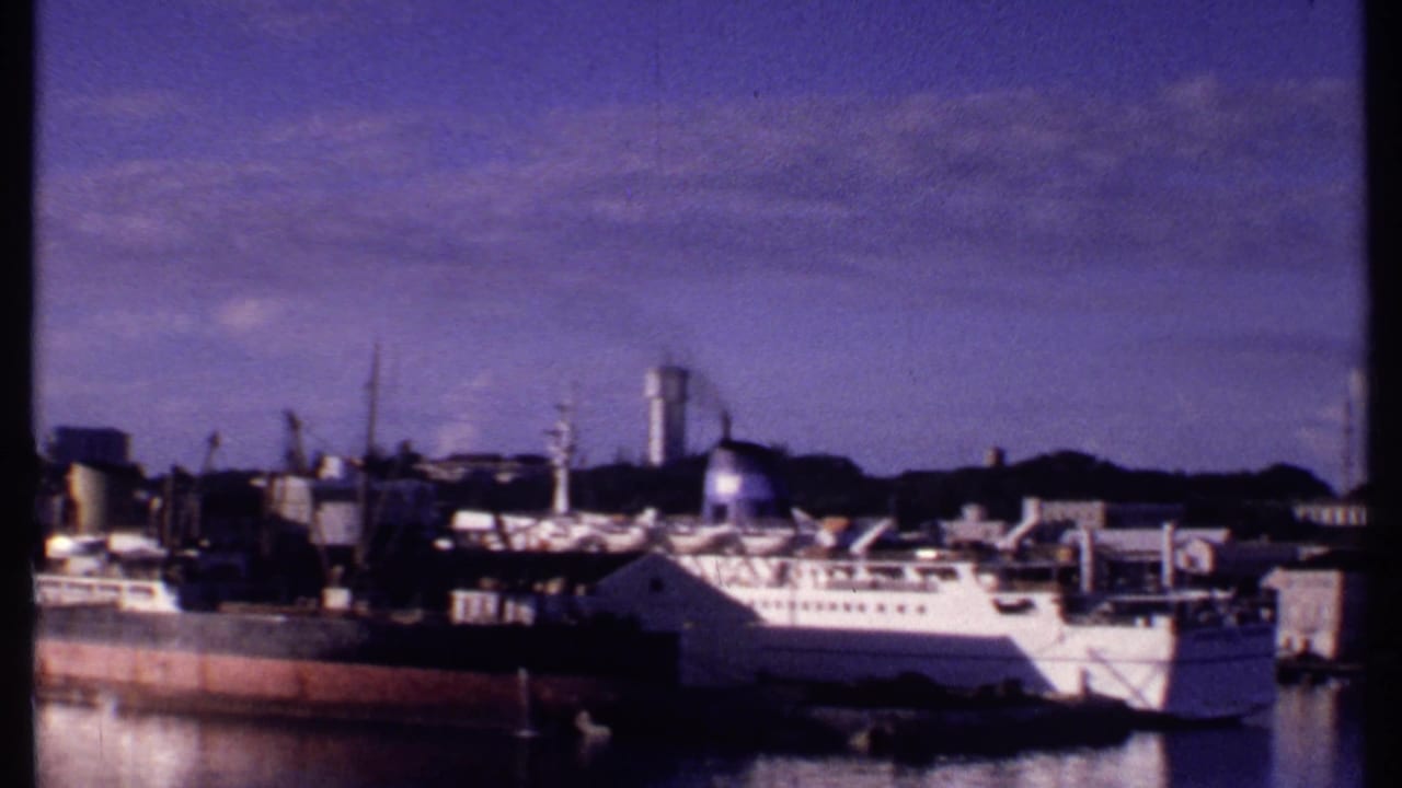 White passenger ship docked beside industrial buildings with cargo vessels and water tower behind.