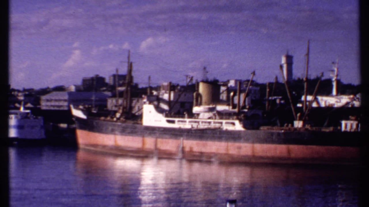 Cargo ship and white vessel at a harbor pier with industrial waterfront structures behind them.