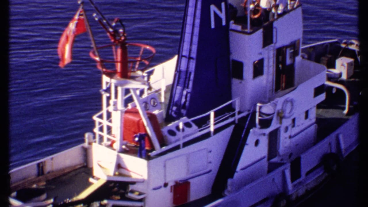 White tugboat seen from above on blue water with a red flag and dark funnel marked N.
