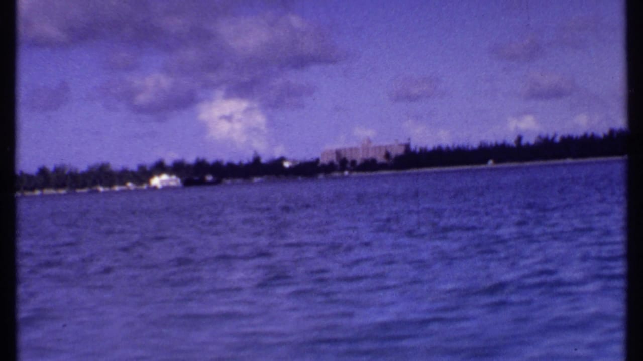 Blue water with a distant palm-lined shoreline and cloudy sky.