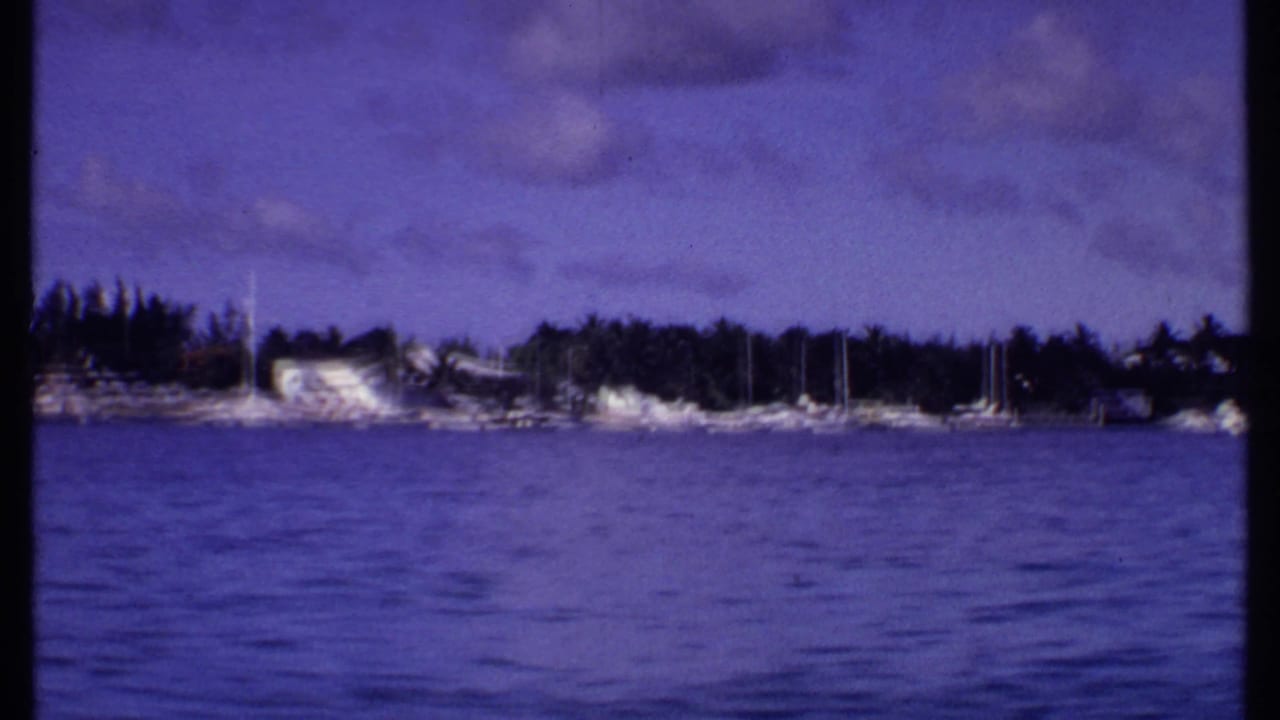 Blue harbor water with sailboats along a palm-lined shore under cloudy sky.
