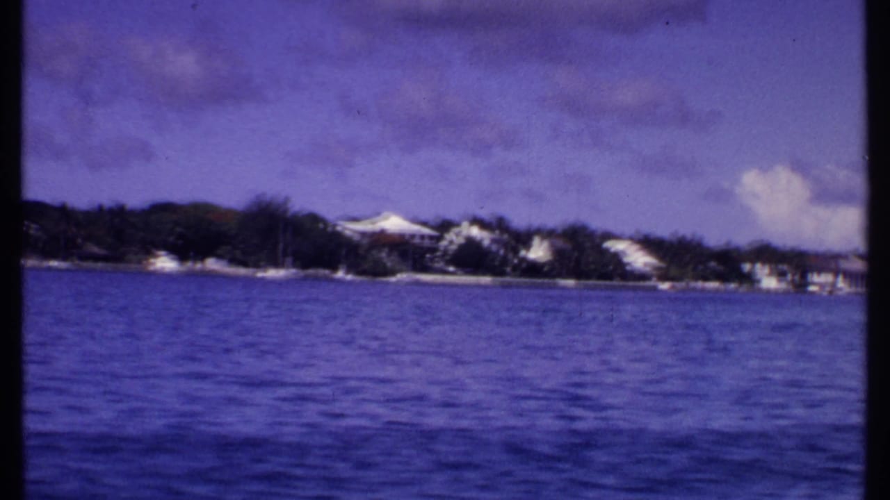 Palm-lined coast seen across water with white buildings under clouds.