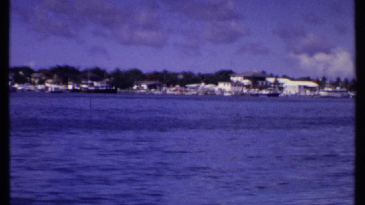 Distant shoreline with white buildings, palms, boats, and calm water under a cloudy sky.