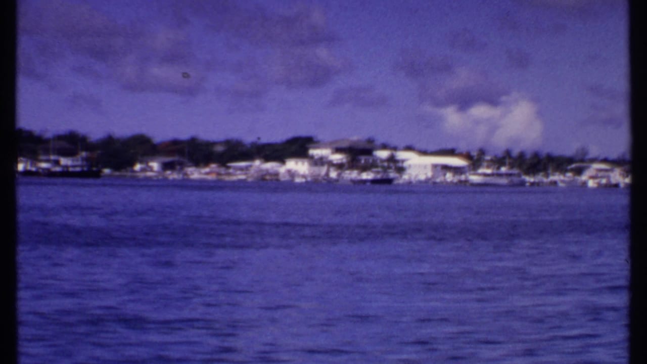 Harbor water in the foreground with low shoreline buildings, boats, and trees in the distance.