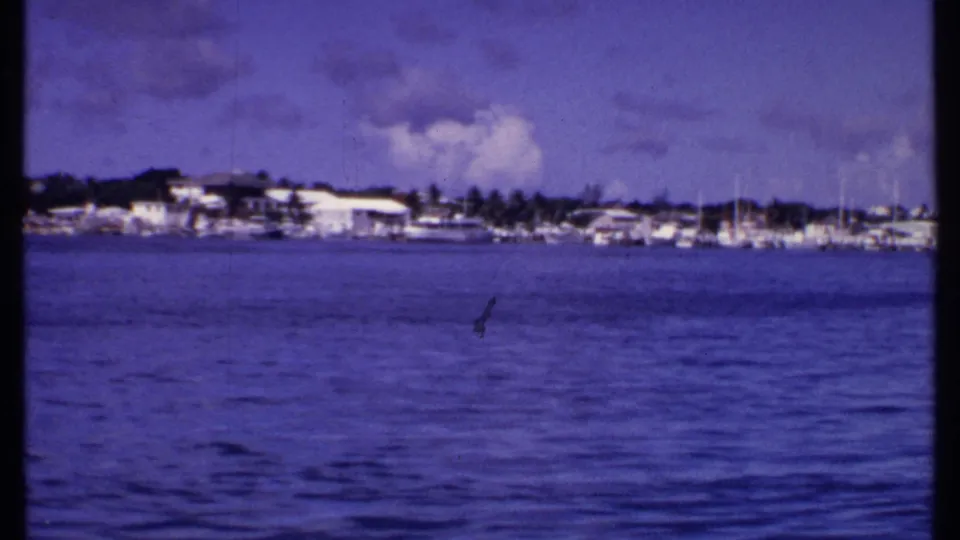 1969 Bahamas coastal frame with open harbor water, white shoreline buildings, boats, palm trees, and a pronounced blue-purple 8mm cast.