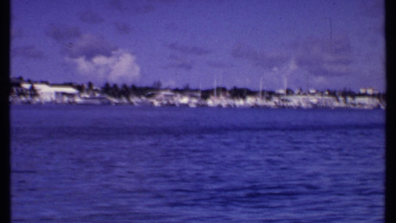 Distant shoreline with sailboat masts, buildings, palms, and open water.