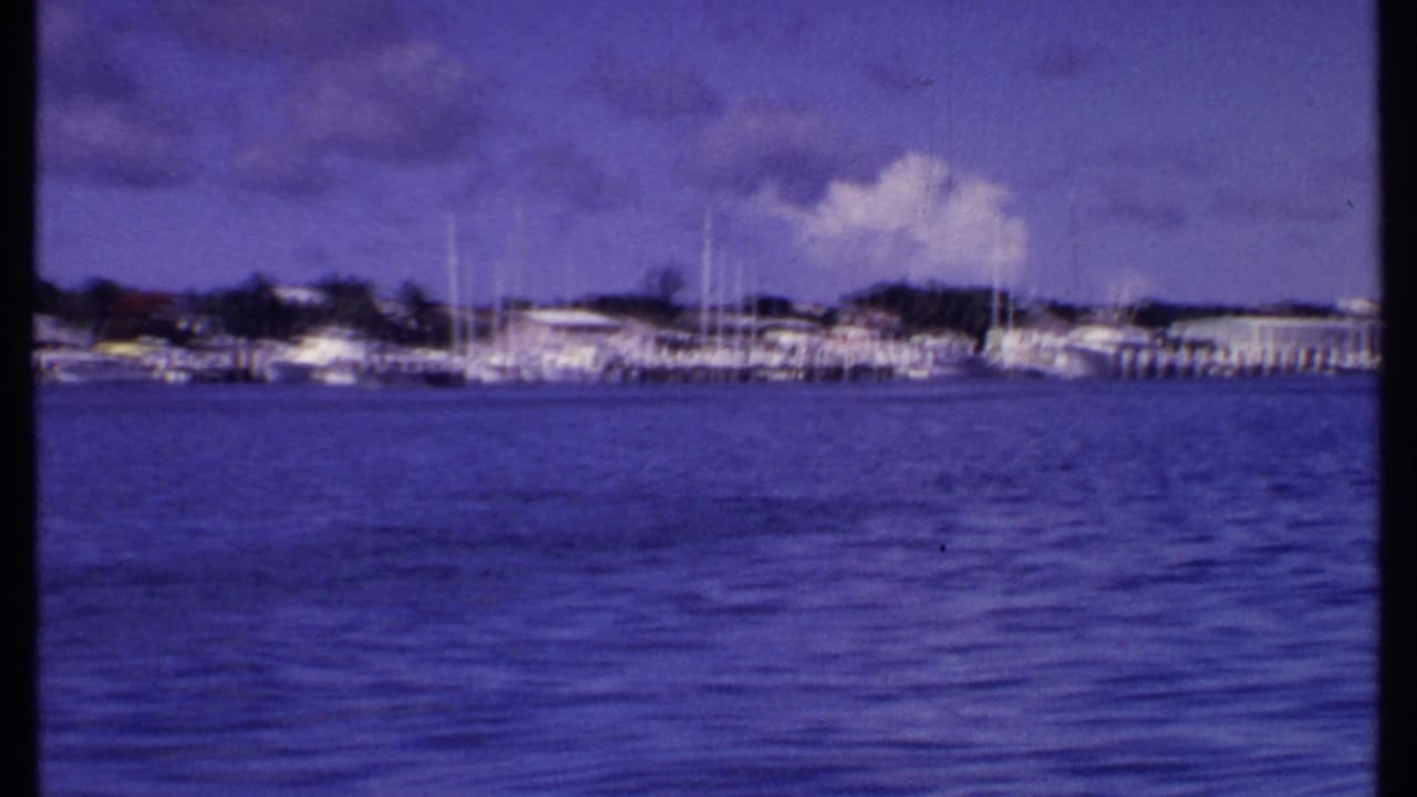 Wide harbor view with marina masts, white boats, docks, and clouded sky.