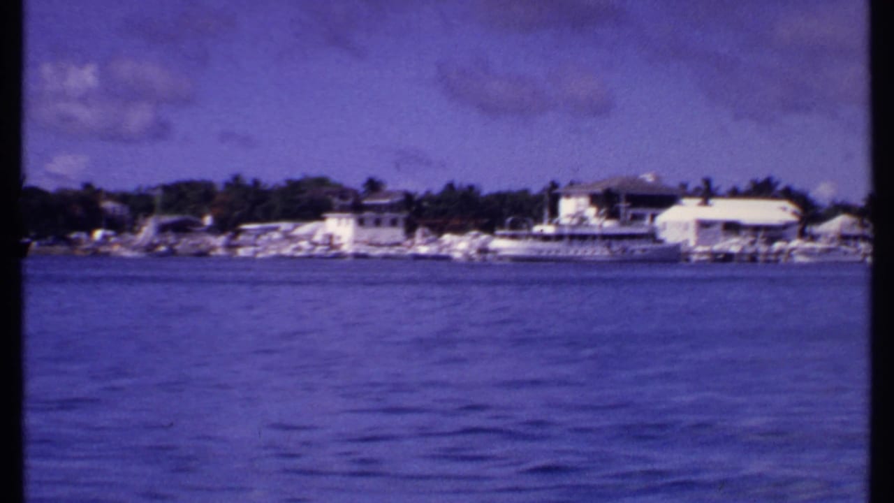 Distant marina shoreline with docked boats, low buildings, palms, and blue water.
