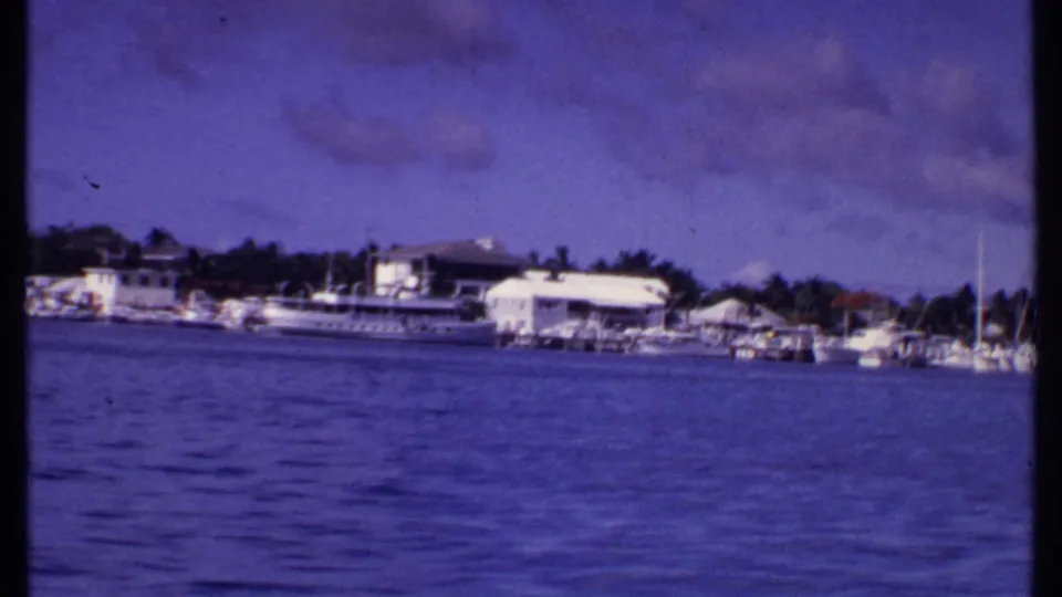 1969 Bahamas dock area seen from a moving boat, with marina buildings, moored vessels, masts, and palm-lined shore.