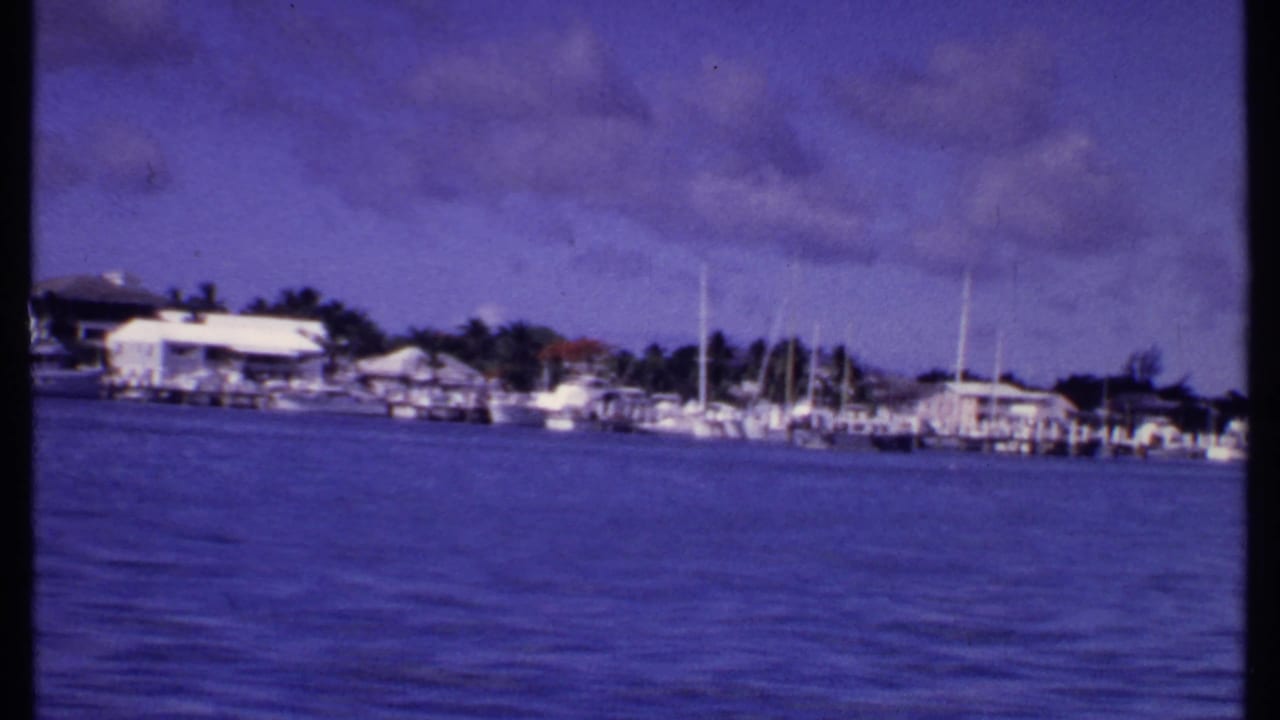 Distant marina across blue water with boats, masts, trees, and low waterfront buildings.