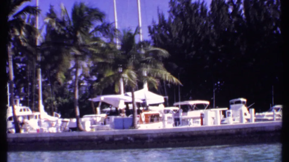 1969 Bahamas 8mm frame of a palm-lined marina, with several white boats docked beside a concrete waterfront edge.