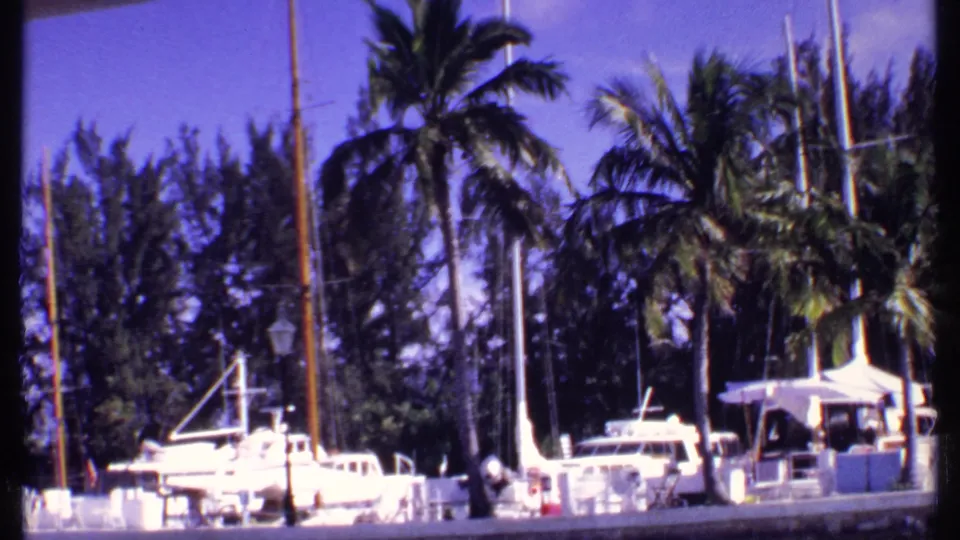 Bahamas dock scene from 1969 showing white motorboats and sailboat masts backed by palms and dark tropical trees.