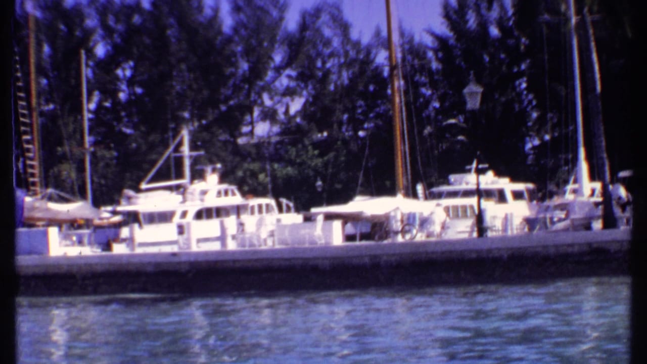 White boats docked at a marina with water in the foreground and trees behind.
