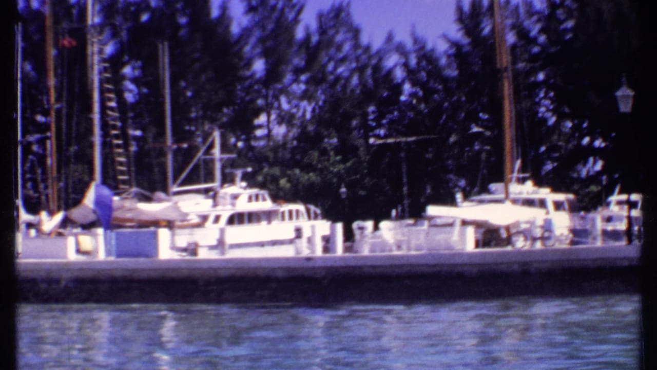 Docked white boats and sailboat masts seen across calm marina water.