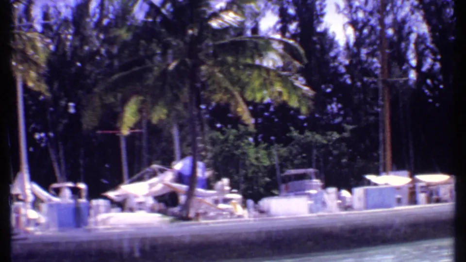 1969 Bahamas 8mm frame with a palm tree, docked sailboats, white dock structures, and water in a tropical marina setting.