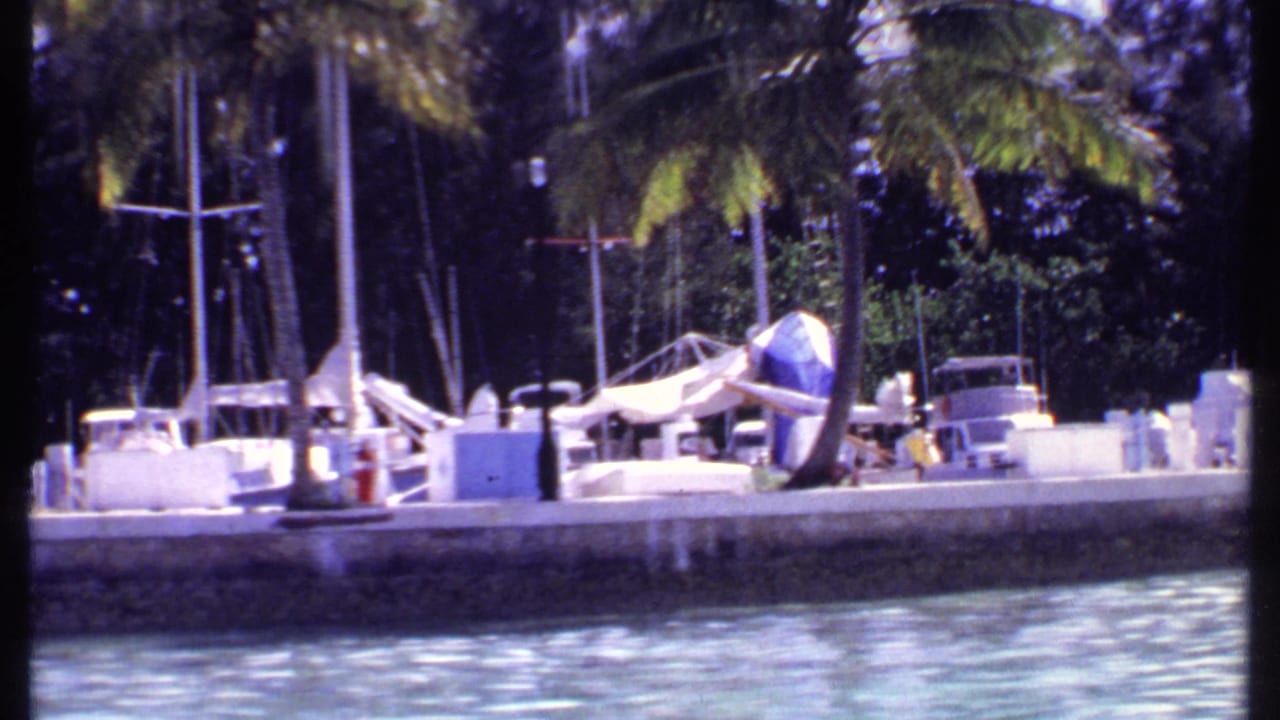 1969 Bahamas marina view with white boats along a concrete dock, palms overhead, and blue-green water in the foreground.