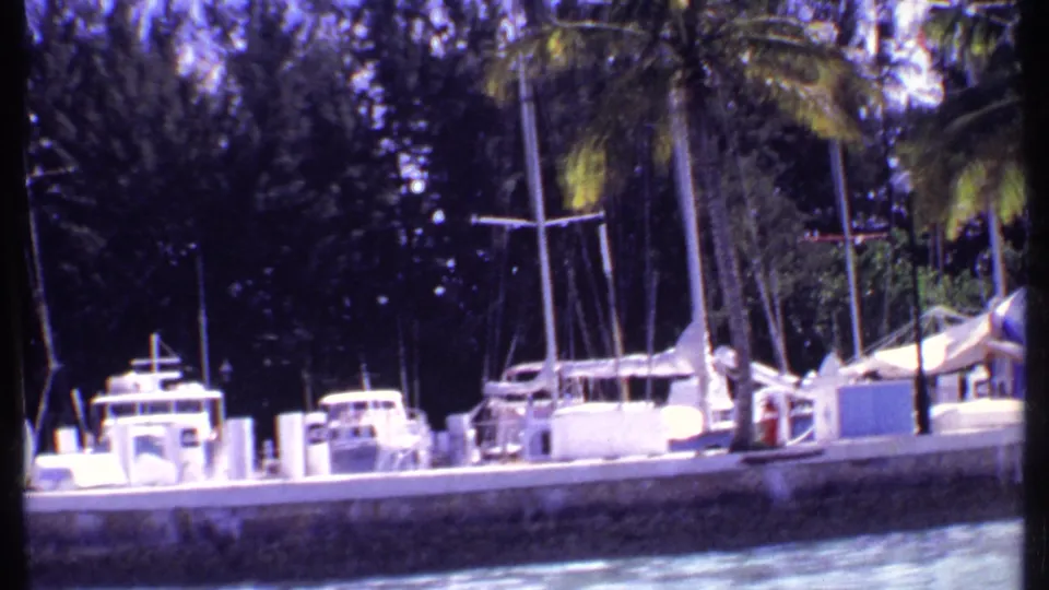 1969 Bahamas marina frame showing docked sailboats and motor boats beneath tall palms and dense shoreline trees.