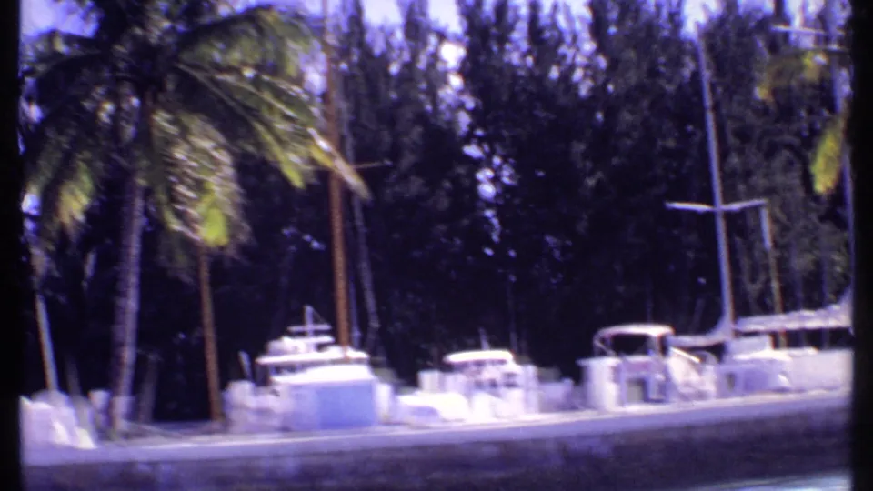 1969 Bahamas shoreline marina view with palms in the foreground and white boats moored along a concrete seawall.