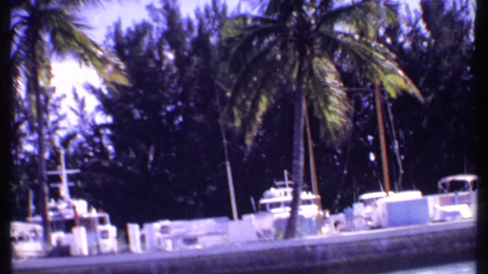 1969 Bahamas marina shot with white boats, tall palms, masts, and a shaded tree line beyond the dock.