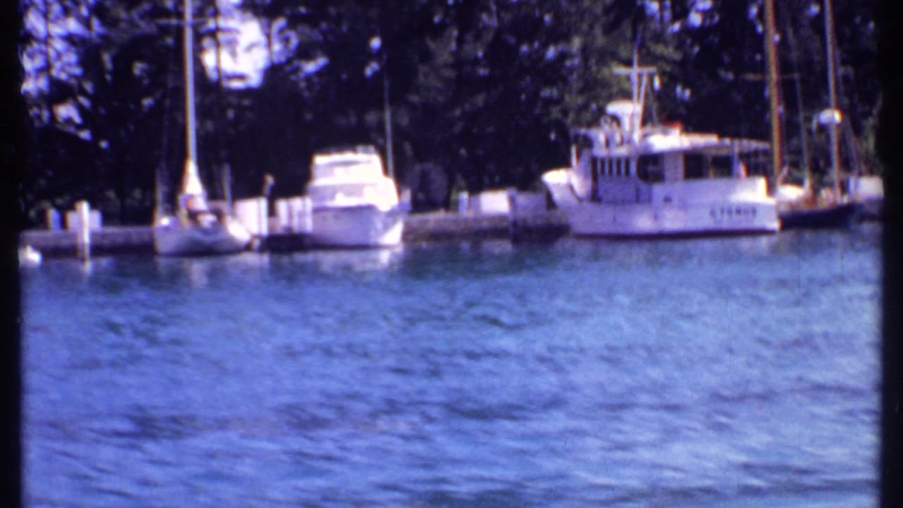 White yachts and sailboats docked beside blue marina water and palms.