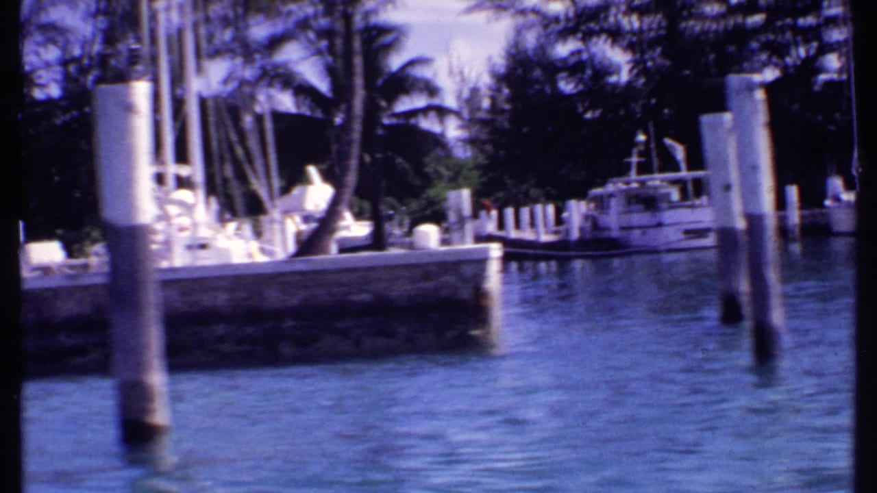 White boats moored along a concrete marina dock with palms and blue water.