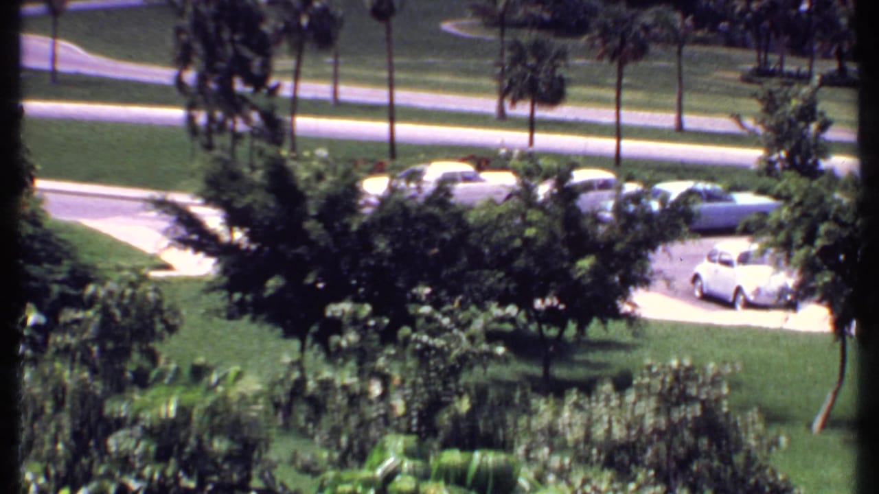 Roadside parking area with several cars beside green lawns and palms.