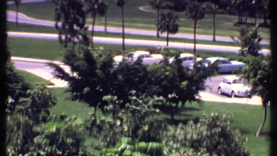 1969 Bahamas resort-area roadside with classic cars parked along bright green landscaping and tall palms.