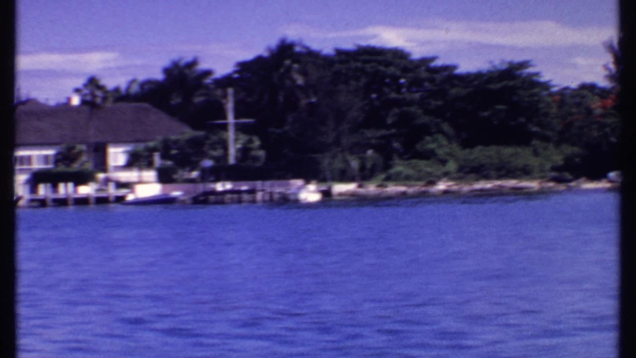 Waterfront houses across blue water with docks and tropical trees.
