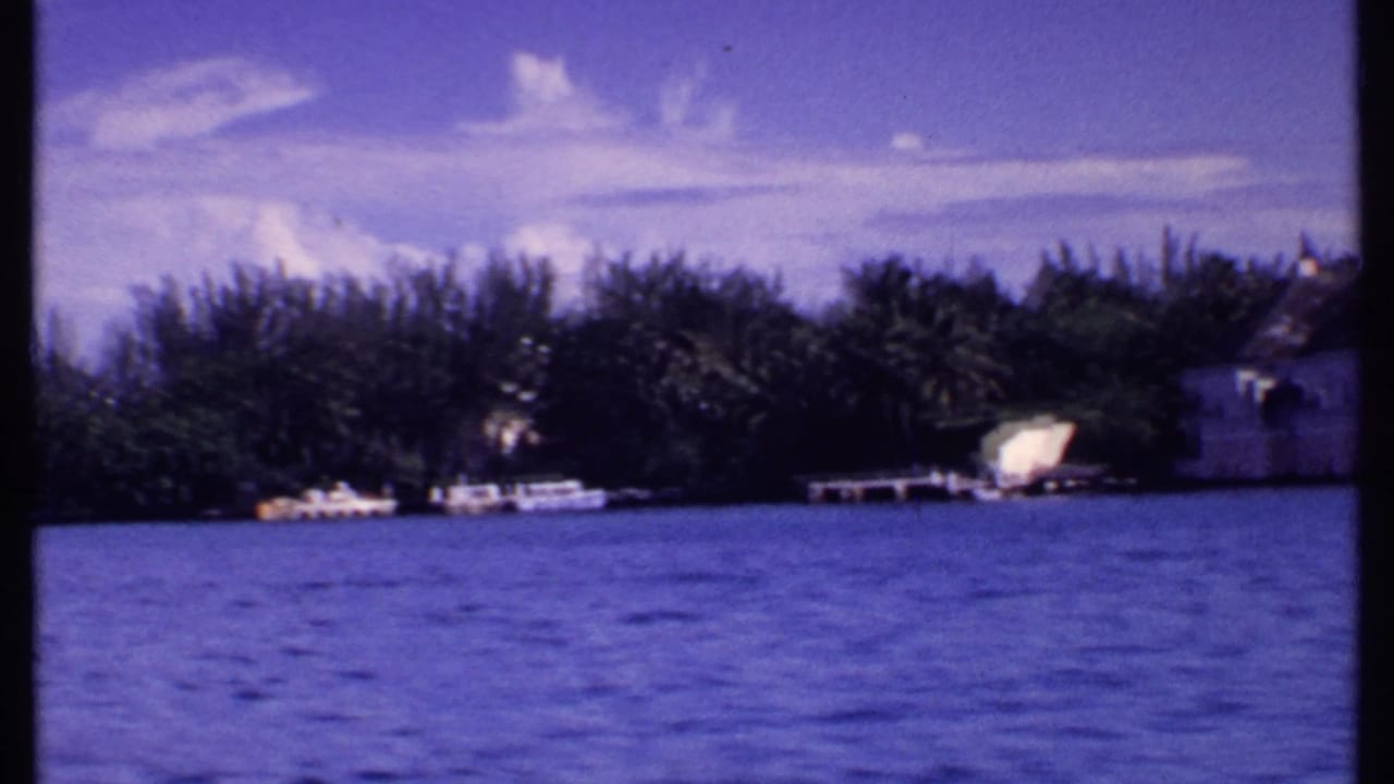 Blue water with a tree-lined shoreline and small boats or docks under a bright sky.