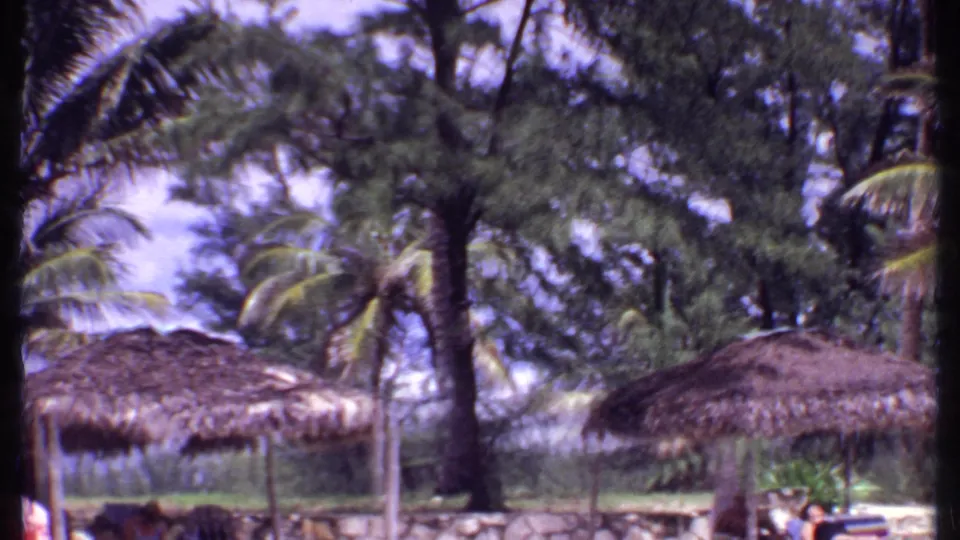 1969 Bahamas beach resort scene with palms, thatched cabanas, a low stone wall, and glimpses of visitors near loungers.
