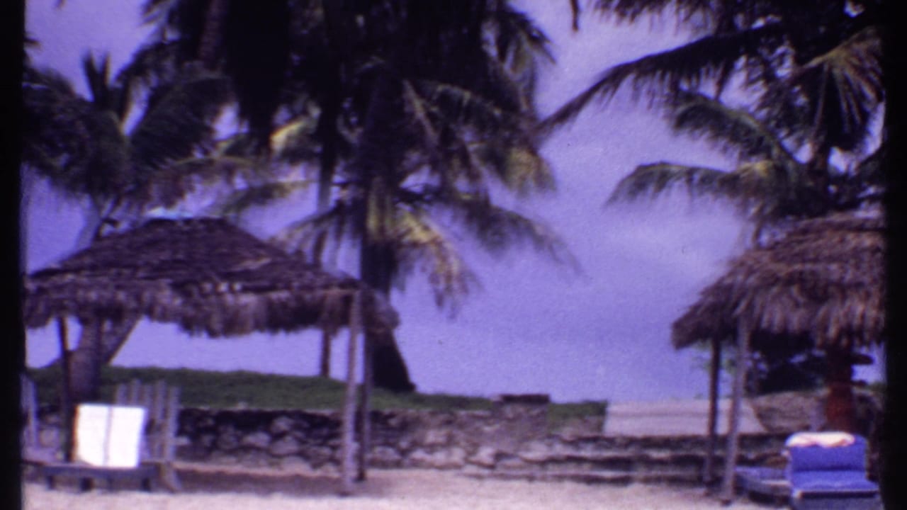Palm trees and thatched beach shelters beside lounge chairs and a low stone wall.