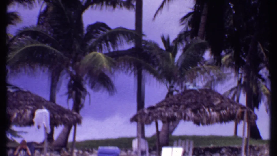 1969 Bahamas beach view with thatched shade structures, palm trunks, lounge chairs, and a purple-tinted sky.