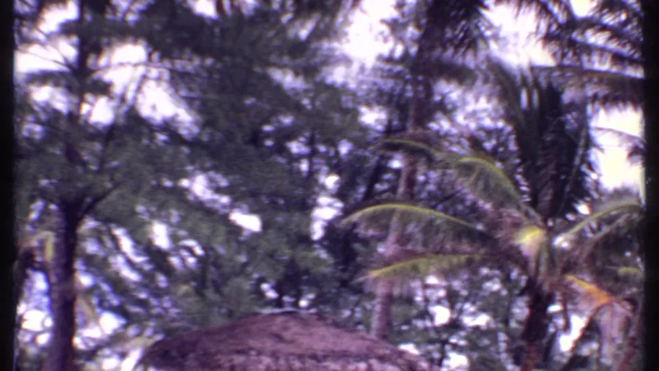 1969 Bahamas 8mm frame looking through tropical foliage toward palm trees and a low thatched roof.