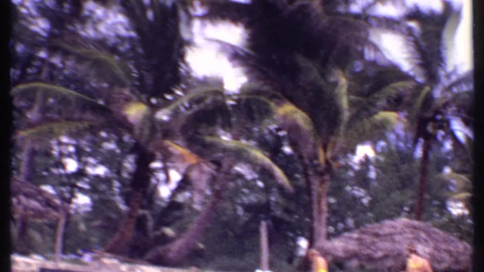 1969 Bahamas home-movie frame showing palms, thatched roofs, and partially visible people in swimwear near the lower edge.