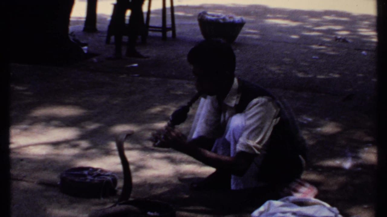 1969 India 8mm frame showing a crouching snake charmer playing near a raised cobra, basket, and dappled pavement shade.