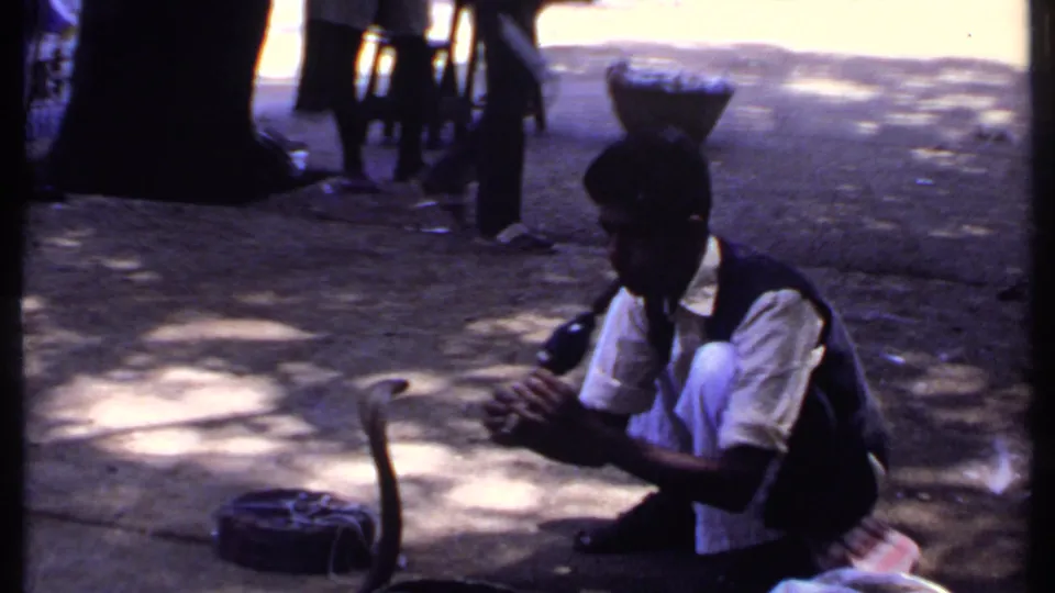 In metadata-supported 1969 India footage, a crouching snake charmer faces a raised cobra beside a basket while spectators stand behind.