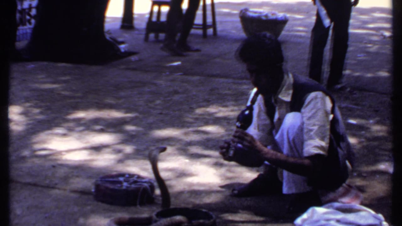 In the lower-left frame, the cobra is more upright near the basket while the crouching charmer leans toward it with his instrument.