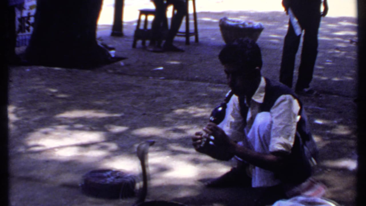 The performer sits low in shade with his instrument as the cobra blurs in front of the basket, suggesting quick movement during the performance.