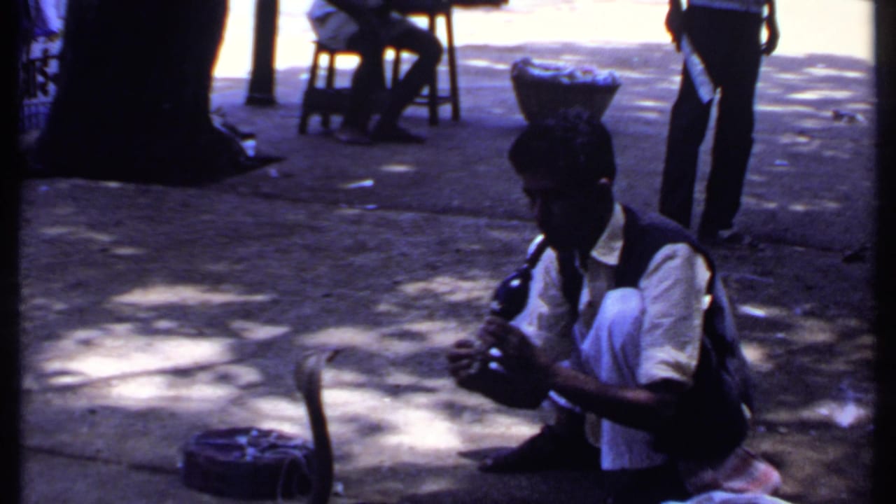 Man crouching on shaded pavement near a hooded cobra and basket.