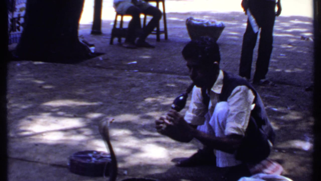 The performer remains crouched in the 1969 India street scene, holding a wind instrument as the cobra faces him from the pavement.
