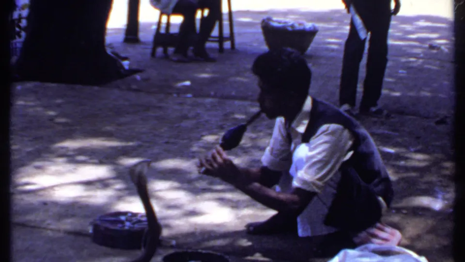 A man in a white shirt and dark vest crouches beside a raised cobra in this India home-movie frame from 1969.