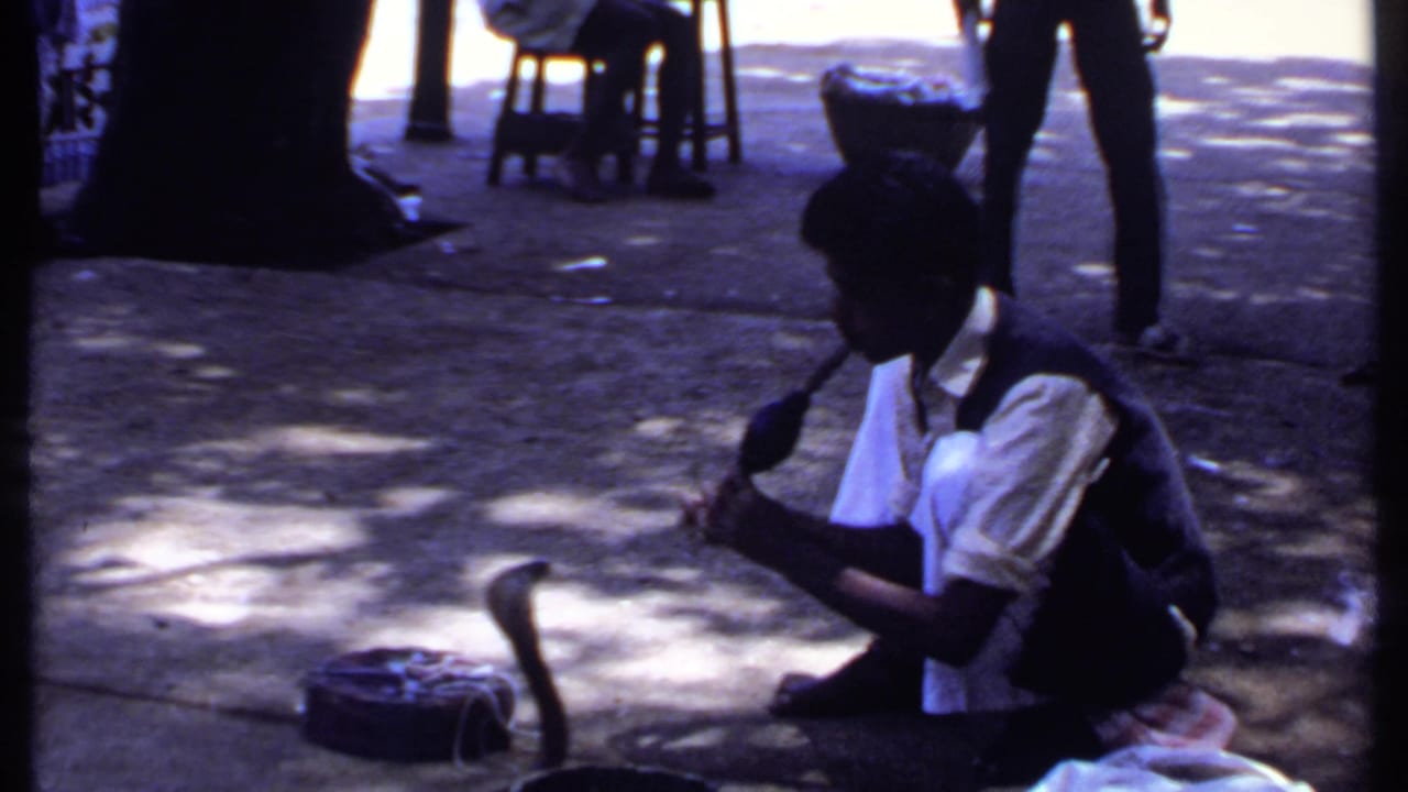 Crouching man plays a flute-like instrument toward a cobra on a sun-dappled street.